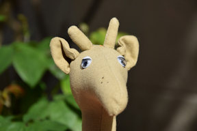 Plan Tilda.<br><br>Je l'adore ma petite girafe avec ses yeux langoureux<br><br>